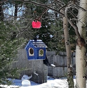 Meet your Posher, Diane